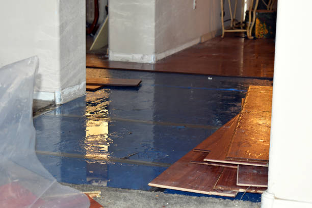 Professional Basement Flood Cleanup technician working in Highland Park, NJ